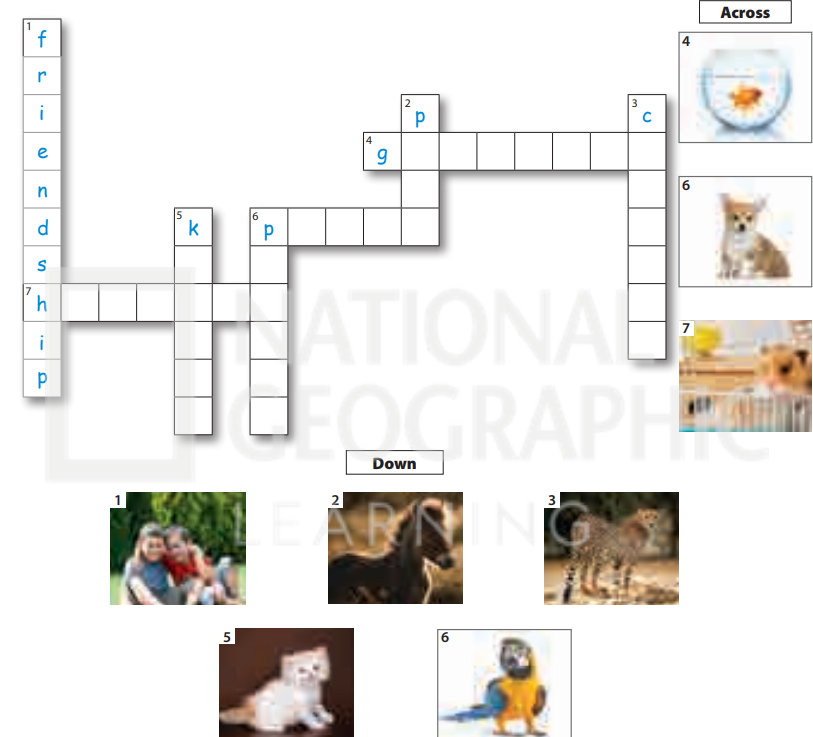 Sách bài tập tiếng Anh 5 Wonderful world Unit 11 lesson 2