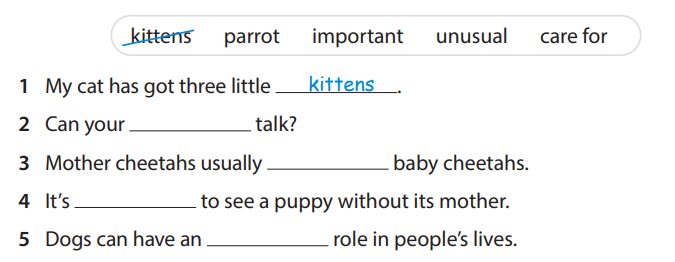 Sách bài tập tiếng Anh 5 Wonderful world Unit 11 lesson 2