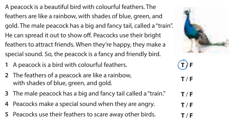 Sách bài tập tiếng Anh 5 Wonderful world Unit 11 lesson 2