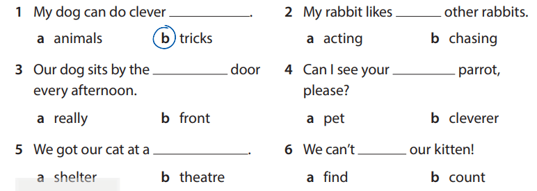 Sách bài tập tiếng Anh 5 Wonderful world Unit 11 lesson 3