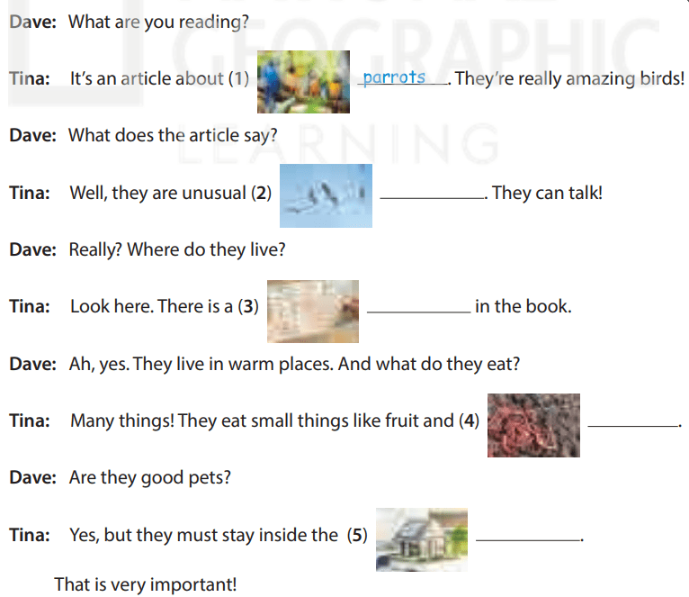 Sách bài tập tiếng Anh 5 Wonderful world Unit 11 lesson 3
