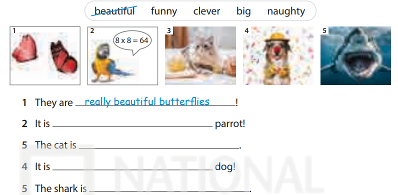 Sách bài tập tiếng Anh 5 Wonderful world Unit 11 lesson 3
