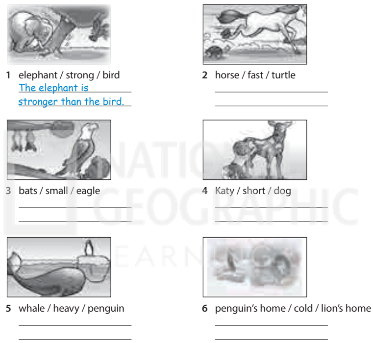 Sách bài tập tiếng Anh 5 Wonderful world Unit 11 lesson 1