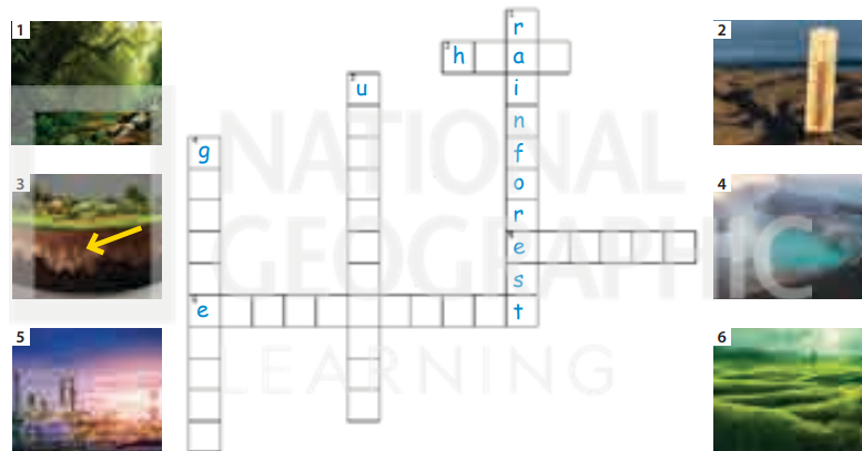 Sách bài tập tiếng Anh 5 Wonderful world Unit 12 lesson 1