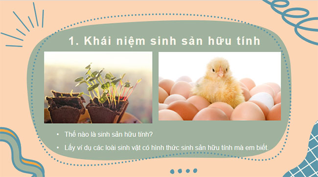 PowerPoint KHTN 7 Bài 40 Kết nối