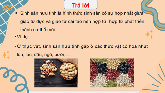 PowerPoint KHTN 7 Bài 40 Kết nối