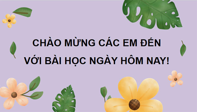 PowerPoint KHTN 7 Bài 41 Kết nối tri thức