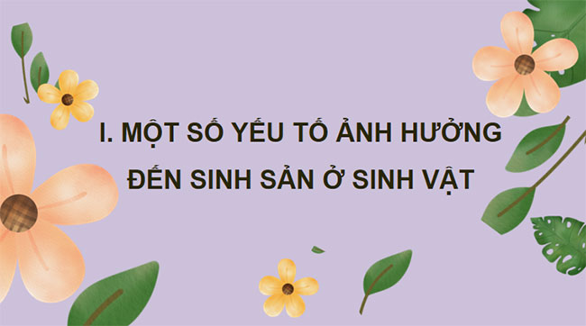 PowerPoint KHTN 7 Bài 41 Kết nối tri thức