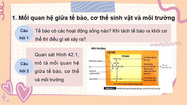 PowerPoint KHTN 7 Bài 42 Kết nối tri thức