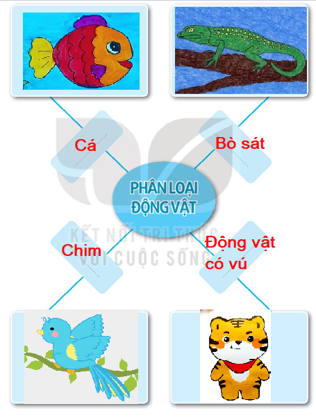 Vở bài tập Tự nhiên và xã hội lớp 3 trang 41, 42 Bài 15: Một số bộ phận của động vật và chức năng của chúng - Kết nối tri thức (ảnh 1)