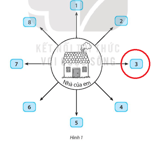 Vở bài tập Tự nhiên và xã hội lớp 3 trang 65, 66 Bài 26: Xác định các phương trong không gian - Kết nối tri thức (ảnh 1)