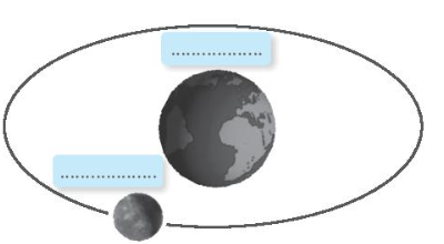 Vở bài tập Tự nhiên và xã hội lớp 3 trang 73, 74 Bài 29: Mặt Trời, Trái Đất, Mặt Trăng - Kết nối tri thức (ảnh 1)