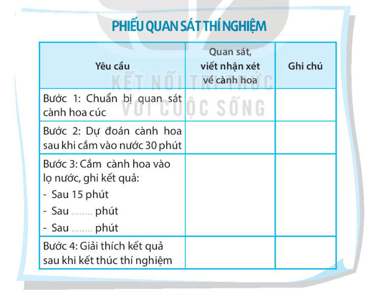 Vở bài tập Tự nhiên và xã hội lớp 3 trang 39, 40 Bài 14: Chức năng một số bộ phận của thực vật - Kết nối tri thức (ảnh 1)