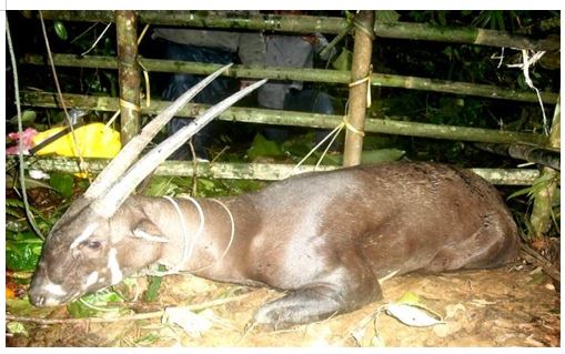 Đề thi thử môn Công nghệ