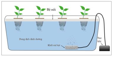 Đề thi thử môn Công nghệ