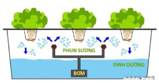 Đề thi thử môn Công nghệ