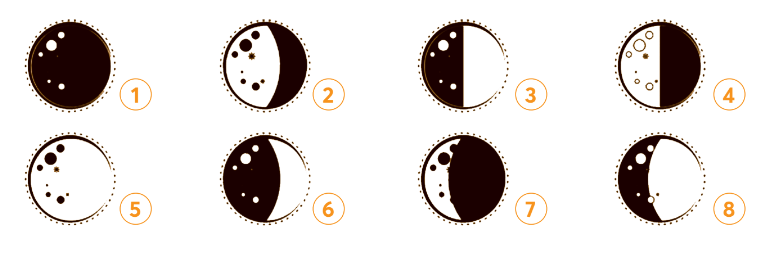 Vở bài tập Tự nhiên và xã hội lớp 3 trang 76, 77, 78 Bài 28: Trái Đất trong hệ Mặt Trời - Chân trời sáng tạo (ảnh 1)