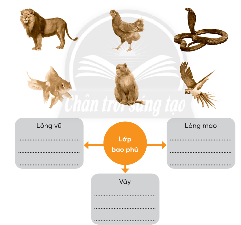 Vở bài tập Tự nhiên và xã hội lớp 3 trang 49, 50, 51 Bài 17: Thế giới động vật quanh em - Chân trời sáng tạo (ảnh 1)