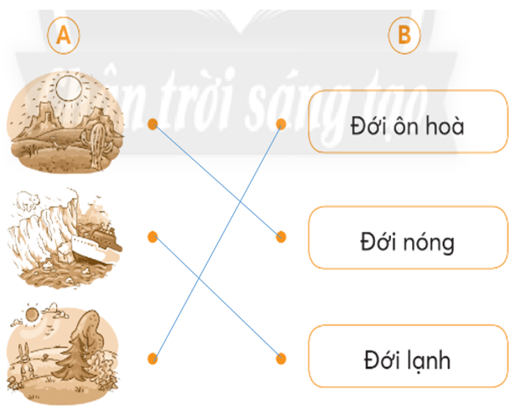 Vở bài tập Tự nhiên và xã hội lớp 3 trang 79, 80 Bài 29: Bề mặt Trái Đất - Chân trời sáng tạo (ảnh 1)