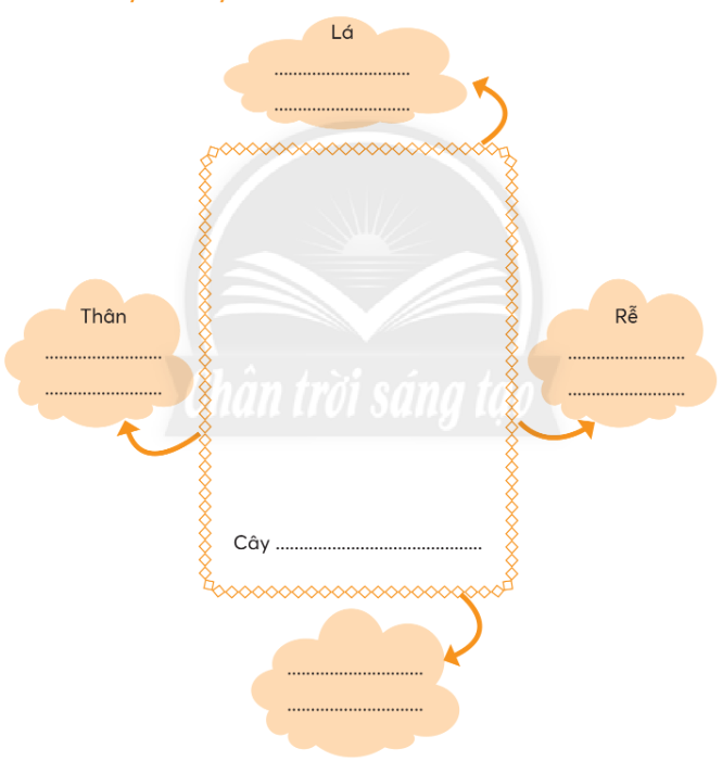 Vở bài tập Tự nhiên và xã hội lớp 3 trang 54, 55 Bài 19: Ôn tập chủ đề Thực vật và động vật - Chân trời sáng tạo (ảnh 1)