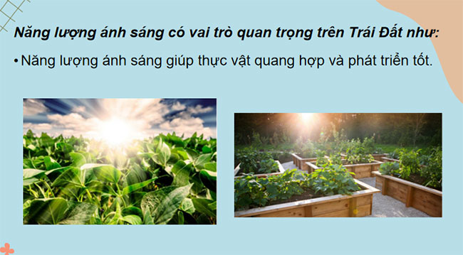 PowerPoint KHTN 7 Bài 15 Kết nối tri thức