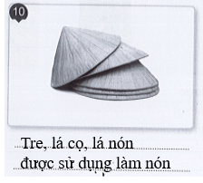 Vở bài tập Tự nhiên và xã hội lớp 3 trang 46, 47, 48, 49 Bài 14: Sử dụng hợp lí thực vật và động vật - Cánh diều (ảnh 1)