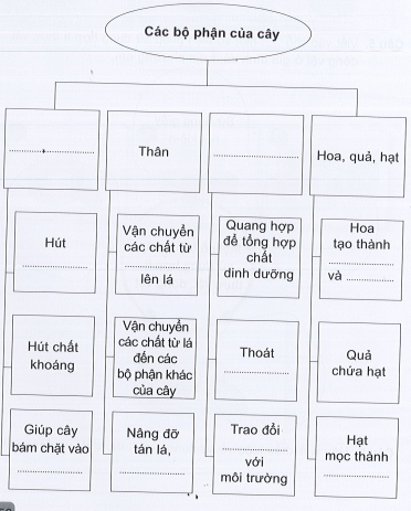 Vở bài tập Tự nhiên và xã hội lớp 3 trang 50, 51 Ôn tập: Chủ đề Thực vật và Động vật - Cánh diều (ảnh 1)