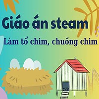 Giáo án steam: Làm tổ chim, chuồng chim