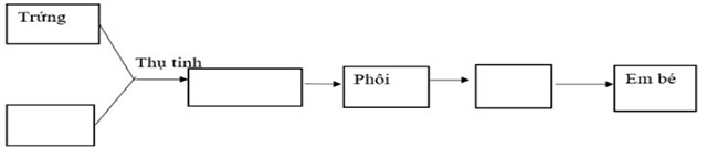 Đề cương ôn tập học kì 2 Khoa học lớp 5 Kết nối tri thức