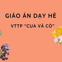 Giáo án dạy hè lớp lá: VTTP “Cua và Cò”