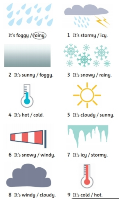 Sách bài tập Tiếng Anh lớp 6 unit 8 Vocabulary and Listening