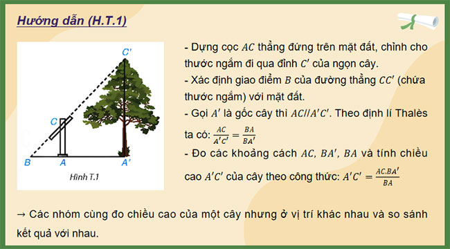 Ứng dụng định lí Thalès