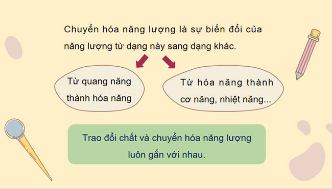 PowerPoint KHTN 7 Bài 21 