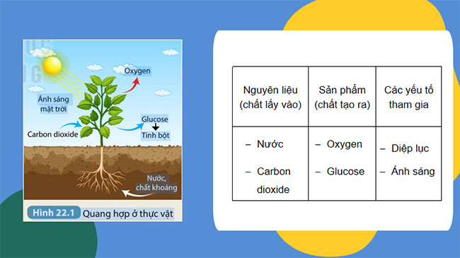 PowerPoint KHTN 7 Bài 22
