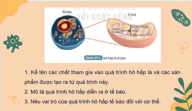 PowerPoint KHTN 7 Bài 25