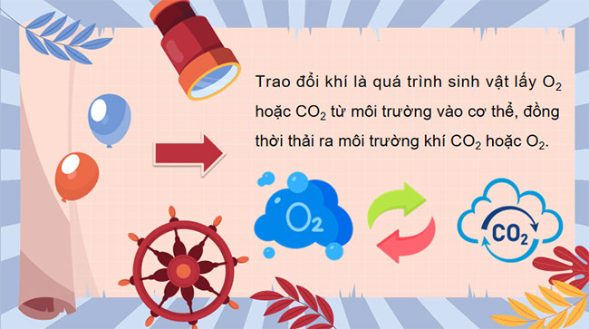 Giáo án Khoa học tự nhiên 7 Bài 28