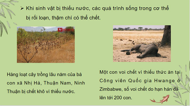 PowerPoint KHTN 7 Bài 29