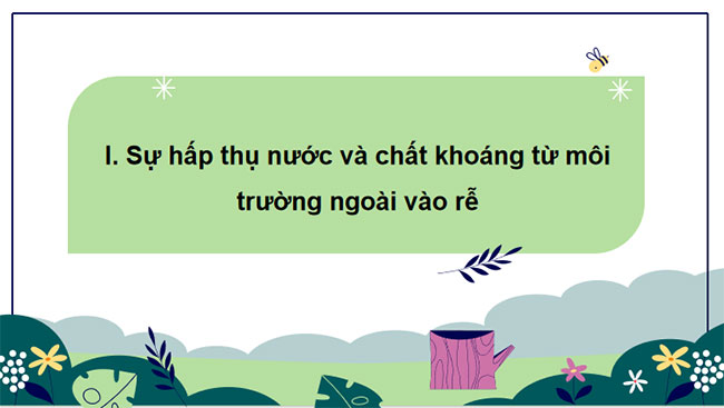 Giáo án Khoa học tự nhiên 7 Bài 30