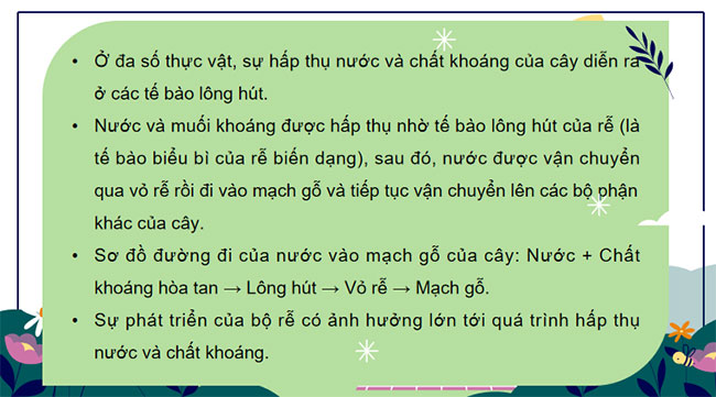 Giáo án Khoa học tự nhiên 7 Bài 30