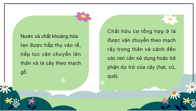 Giáo án Khoa học tự nhiên 7 Bài 30