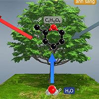 Giáo án Khoa học tự nhiên 7 Bài 21: Khái quát về trao đổi chất và chuyển hóa năng lượng