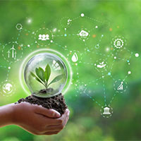 Giáo án Khoa học 5 Bài 19: Chức năng của môi trường đối với sinh vật