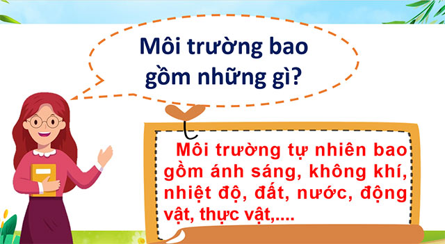 PowerPoint Khoa học 5 Chức năng của môi trường đối với sinh vật