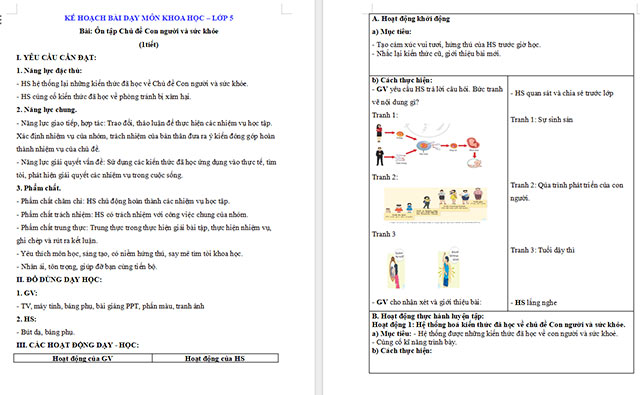 Giáo án Khoa học 5 Ôn tập chủ đề Con người và sức khỏe