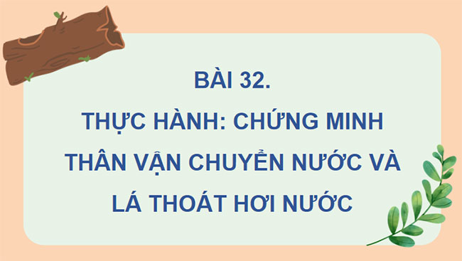 PowerPoint KHTN 7 Bài 32