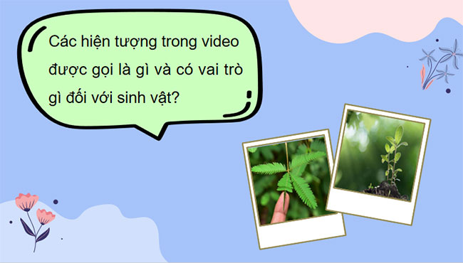 PowerPoint KHTN 7 Bài 33