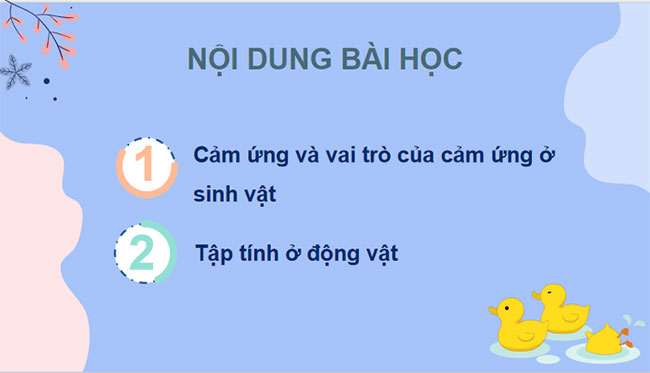 PowerPoint KHTN 7 Bài 33