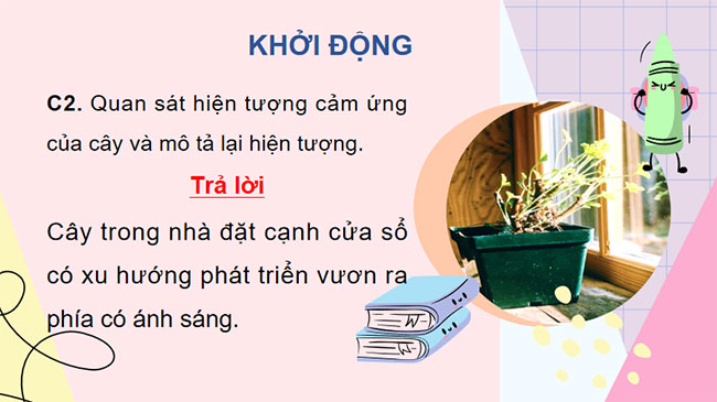 PowerPoint KHTN 7 Bài 35