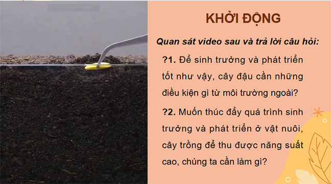 PowerPoint KHTN 7 Bài 37