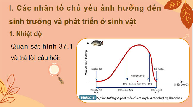PowerPoint KHTN 7 Bài 37